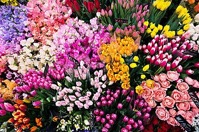 《博德之门3》突破新纪录 发行总监发文感谢玩家